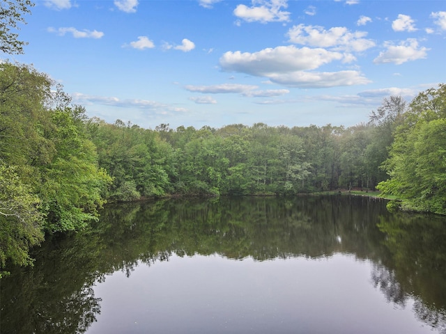 water view featuring a heavily wooded area