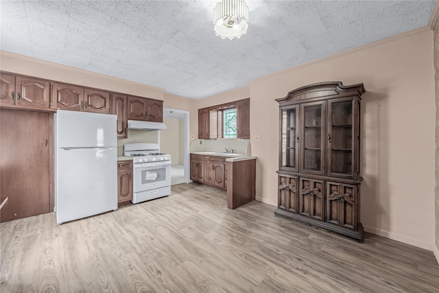 6107 Grand Ave, Maspeth, NY 11378 - kitchen featuring white appliances, under cabinet range hood, light countertops, a sink, and light wood-style floors