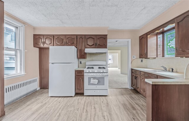 6107 Grand Ave, Maspeth, NY 11378 - kitchen featuring white appliances, radiator heating unit, under cabinet range hood, a sink, and light wood-style flooring