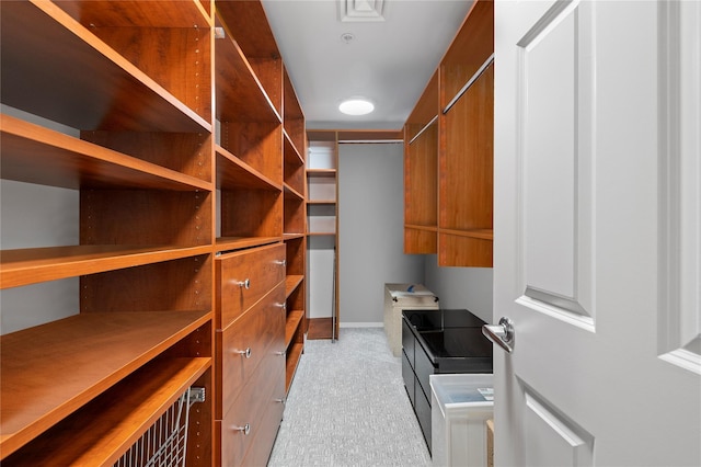 100 Harbor View Dr Unit 230, Port Washington, NY 11050 - walk in closet featuring carpet