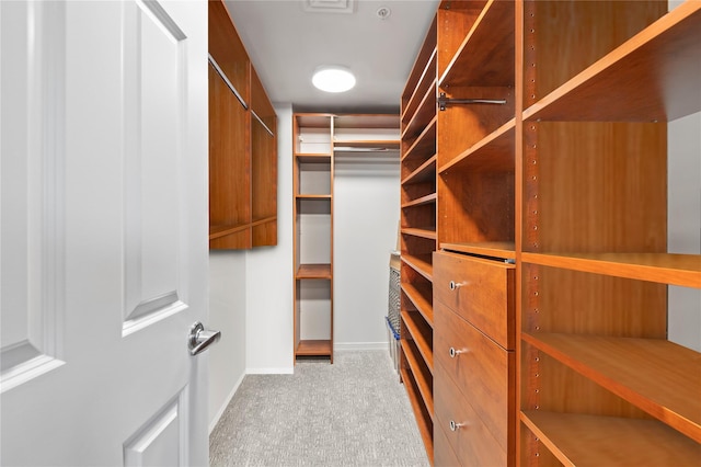 100 Harbor View Dr Unit 230, Port Washington, NY 11050 - walk in closet with light carpet