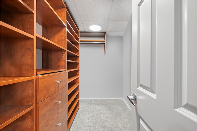 100 Harbor View Dr Unit 230, Port Washington, NY 11050 - walk in closet with carpet floors and a paneled ceiling