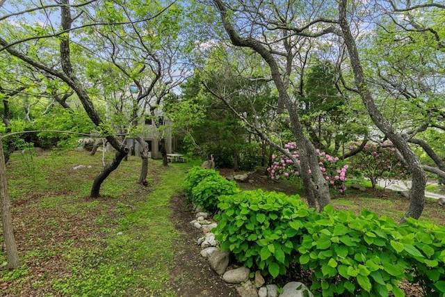 1635 Isabella Beach Rd, Fishers Island, NY 06390 - view of yard