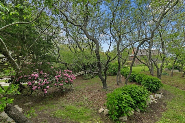 1635 Isabella Beach Rd, Fishers Island, NY 06390 - view of yard