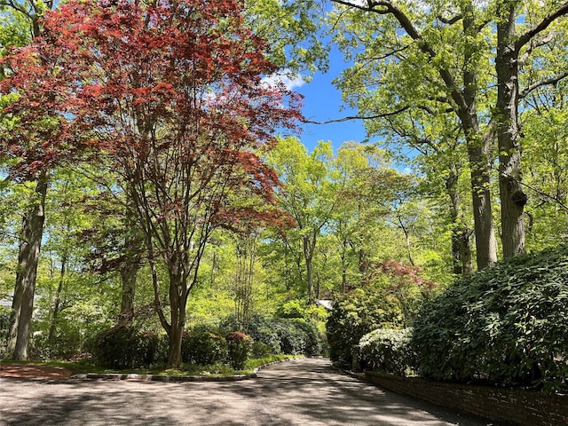 22 Druid Hill Rd, Port Jefferson, NY 11777 - view of street with a view of trees
