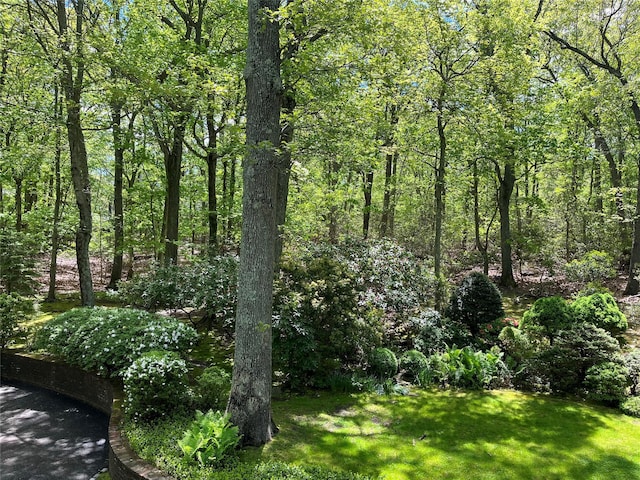 22 Druid Hill Rd, Port Jefferson, NY 11777 - view of woods