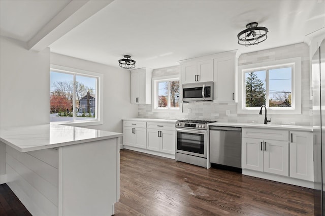 kitchen with tasteful backsplash, a sink, appliances with stainless steel finishes, light countertops, and dark wood-style floors