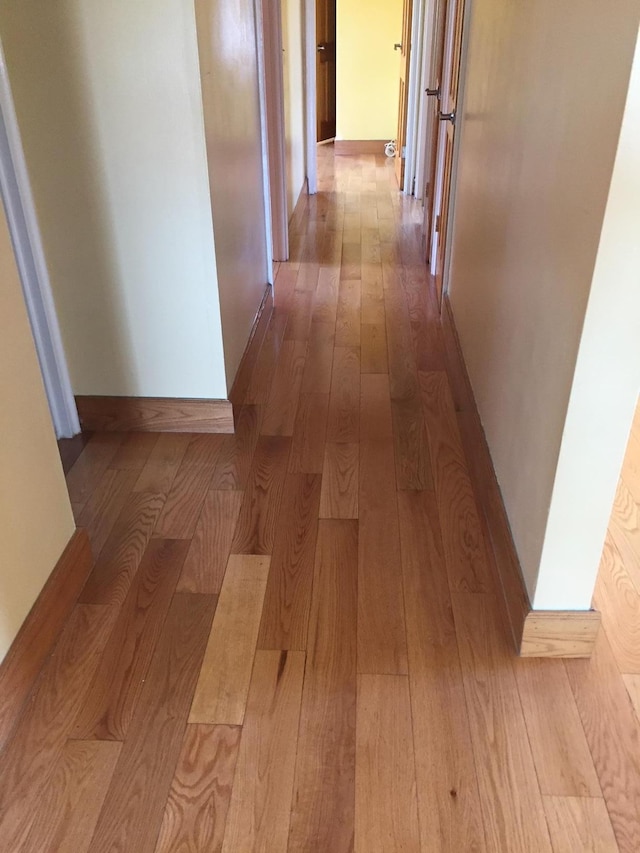 2443 Bouck Ave, Bronx, NY 10469 - corridor with hardwood / wood-style flooring