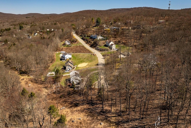 51 Waldron Ter, Sloatsburg, NY 10974 - photo 5