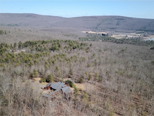 property view of mountains with a rural view