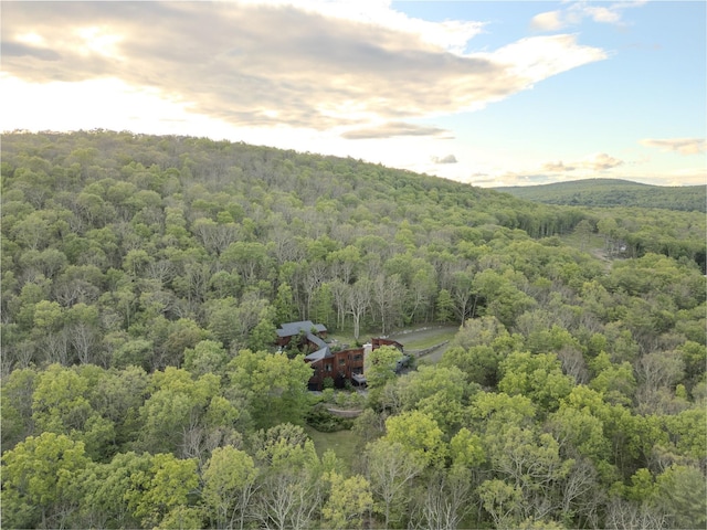 25 Vincent Pl, Wurtsboro, NY 12790 - photo 2