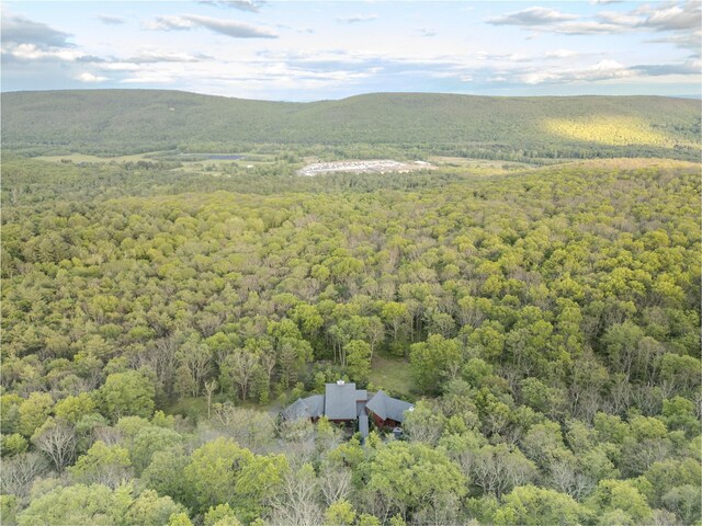 25 Vincent Pl, Wurtsboro, NY 12790 - photo 46