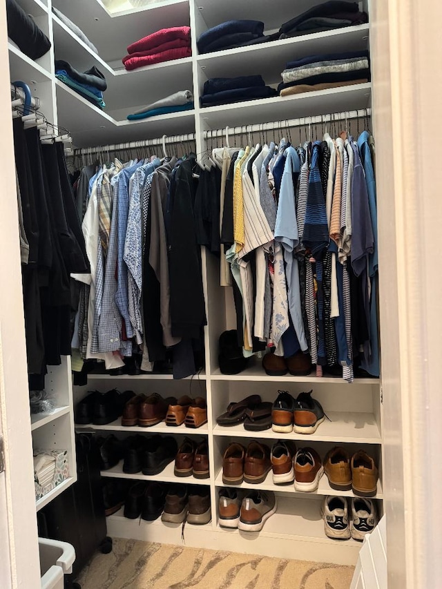 view of spacious closet