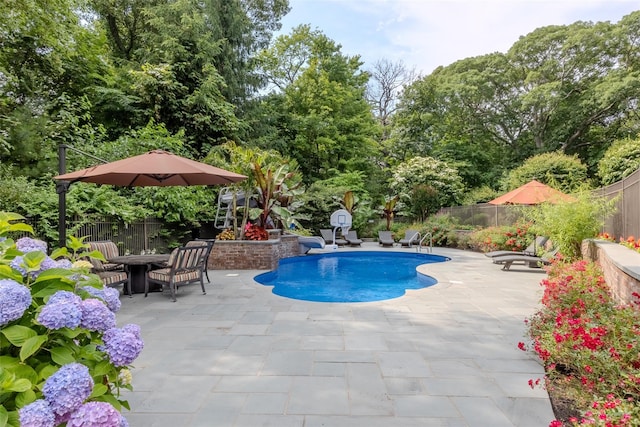 view of pool with a patio area, a fenced backyard, and a fenced in pool
