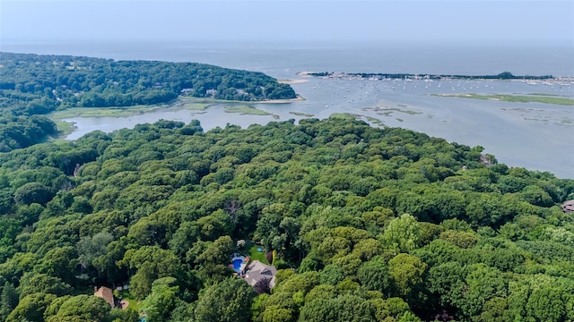 aerial view featuring a view of trees and a water view