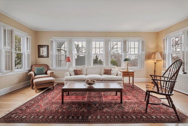 living room featuring baseboards, wood finished floors, and a wealth of natural light