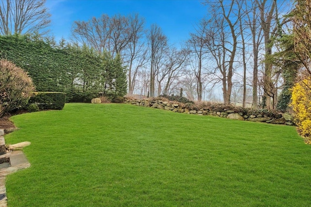 view of yard