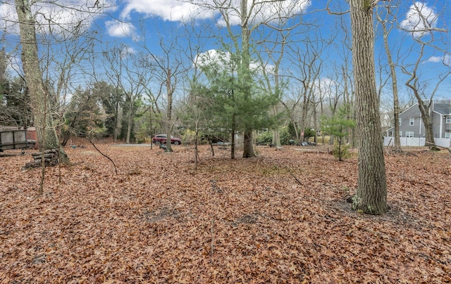 33 Mobrey Ln, Smithtown, NY 11787 - view of yard