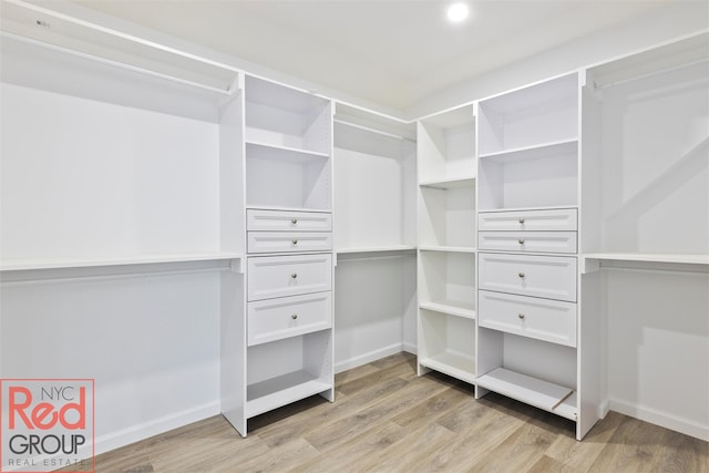 82 Albertson Pl, Mineola, NY 11501 - spacious closet featuring light wood-style floors
