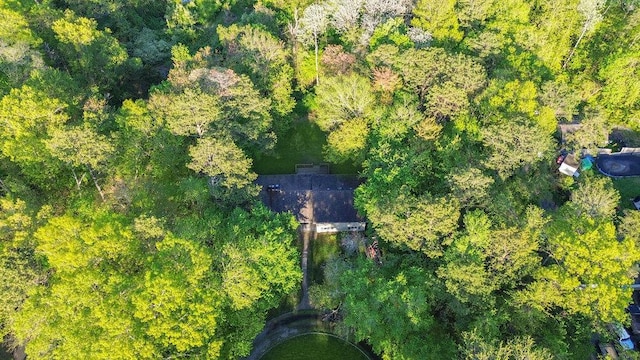 59 Giant Oak Rd, Ridge, NY 11961 - bird's eye view