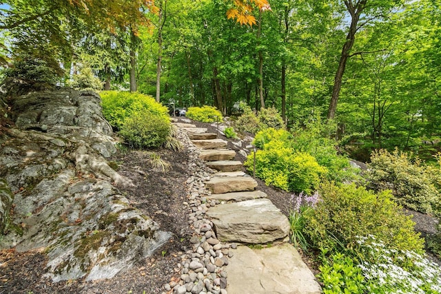 57 Hamilton Dr, Chappaqua, NY 10514 - view of yard