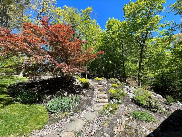 57 Hamilton Dr, Chappaqua, NY 10514 - view of yard