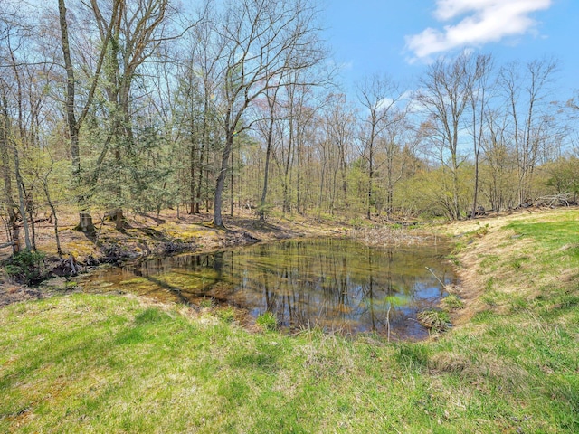 65 York Lake Rd, Barryville, NY 12719 - photo 22