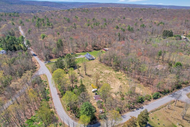 65 York Lake Rd, Barryville, NY 12719 - photo 26