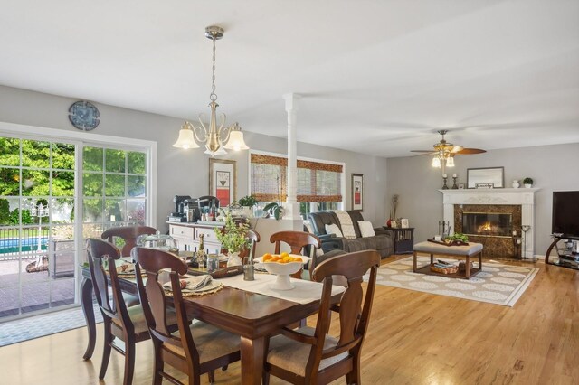 dining space with a premium fireplace, light wood-type flooring, and ceiling fan with notable chandelier