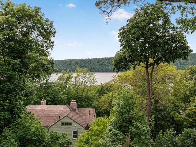 164 Shonnard Ter, Yonkers, NY 10701 - water view featuring a forest