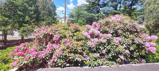 2 N Eckerson Ln, Spring Valley, NY 10977 - view of yard