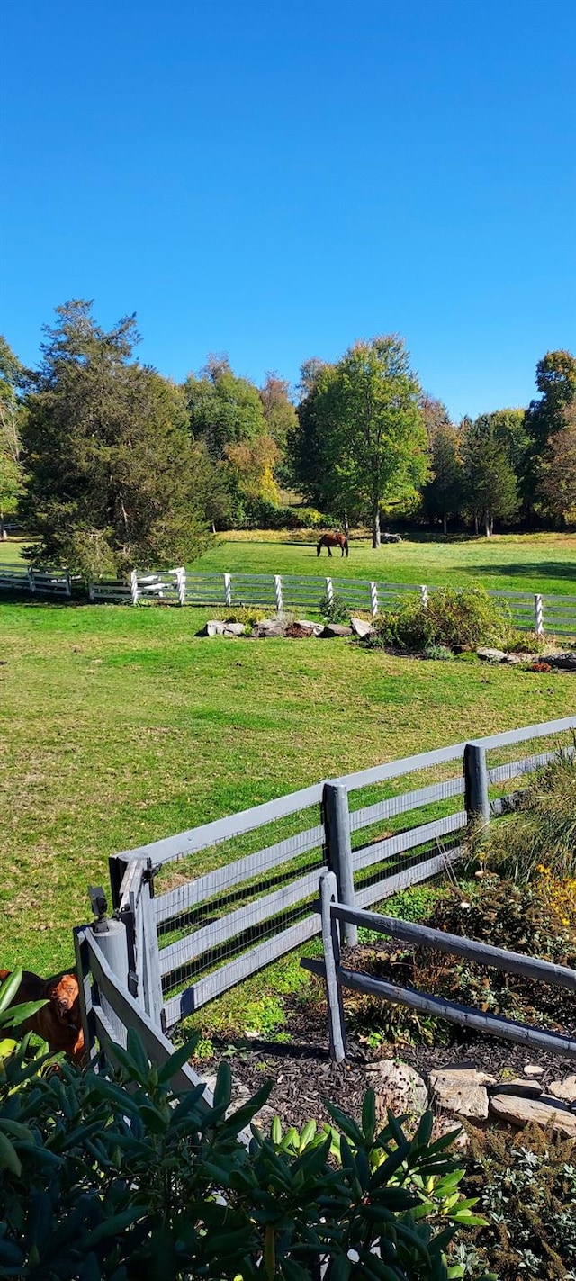 view of property's community with a yard, fence, and a rural view