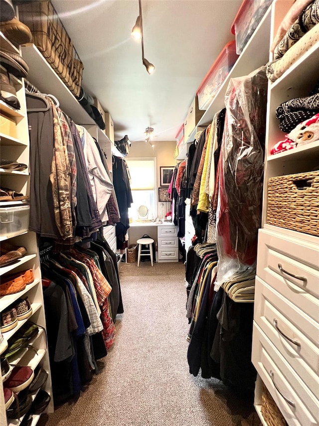 walk in closet featuring carpet floors