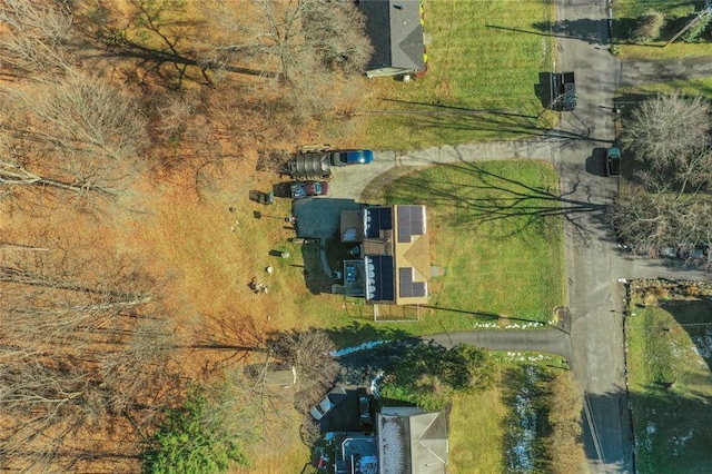 bird's eye view