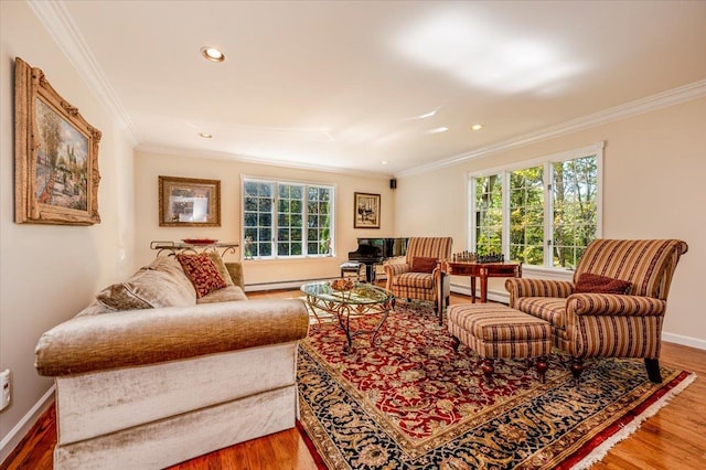 living area featuring ornamental molding, baseboards, a baseboard radiator, and wood finished floors