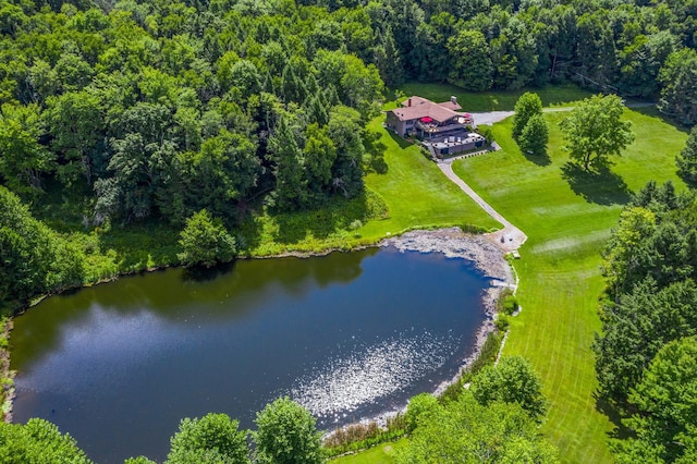 65 Deuner Hill Rd, Callicoon Center, NY 12723 - aerial view of property and surrounding area featuring a large body of water and a heavily wooded area