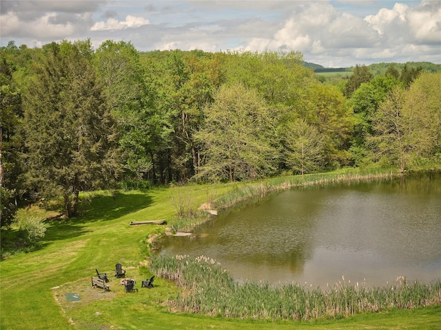 65 Deuner Hill Rd, Callicoon Center, NY 12723 - water view with a forest