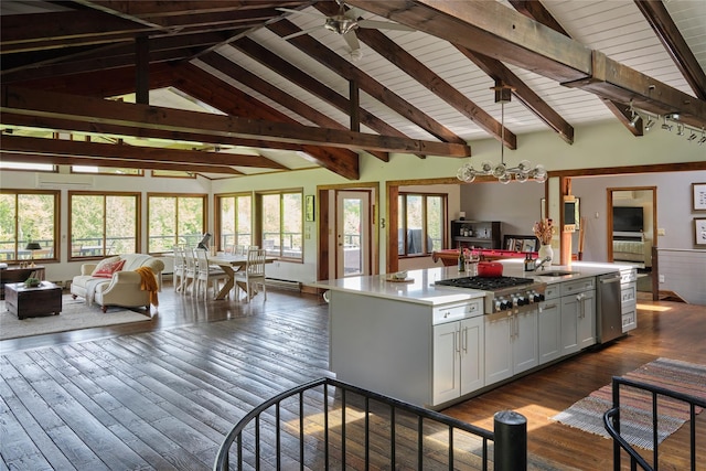 65 Deuner Hill Rd, Callicoon Center, NY 12723 - kitchen featuring open floor plan, appliances with stainless steel finishes, a center island with sink, a sink, and light countertops