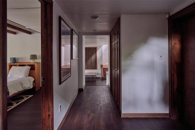 65 Deuner Hill Rd, Callicoon Center, NY 12723 - hall featuring dark wood-type flooring and baseboards