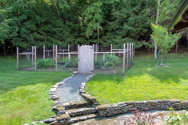 65 Deuner Hill Rd, Callicoon Center, NY 12723 - view of yard with a vegetable garden