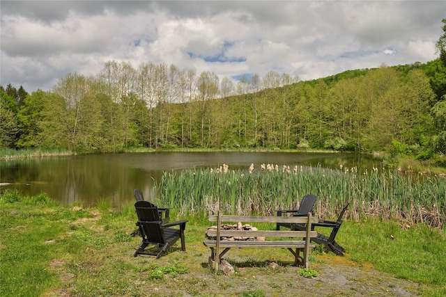 65 Deuner Hill Rd, Callicoon Center, NY 12723 - surrounding community featuring a wooded view and a water view