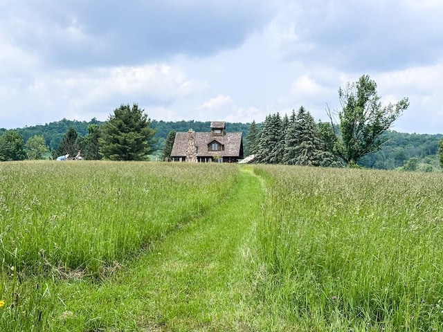649 County Road 95, North Branch, NY 12766 - view of yard with a view of rural / pastoral area and a wooded view