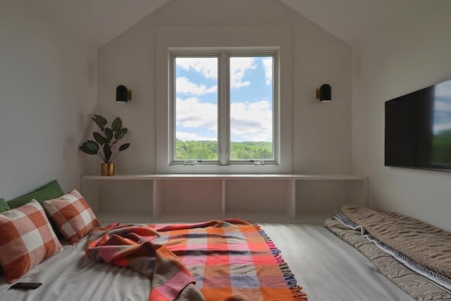 649 County Road 95, North Branch, NY 12766 - bedroom featuring vaulted ceiling and multiple windows