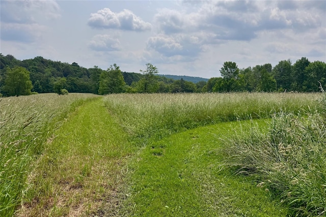 649 County Road 95, North Branch, NY 12766 - view of nature with rural landscape