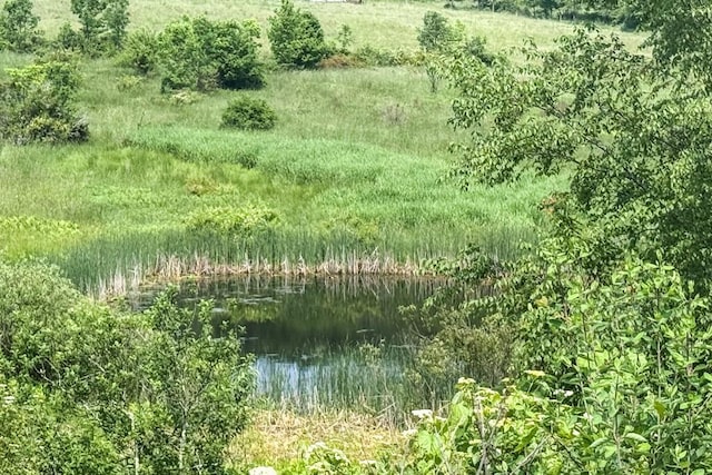 649 County Road 95, North Branch, NY 12766 - view of undeveloped land featuring a large body of water