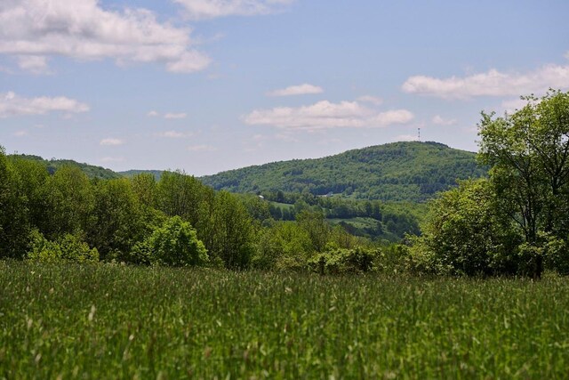 649 County Road 95, North Branch, NY 12766 - mountain view with a heavily wooded area