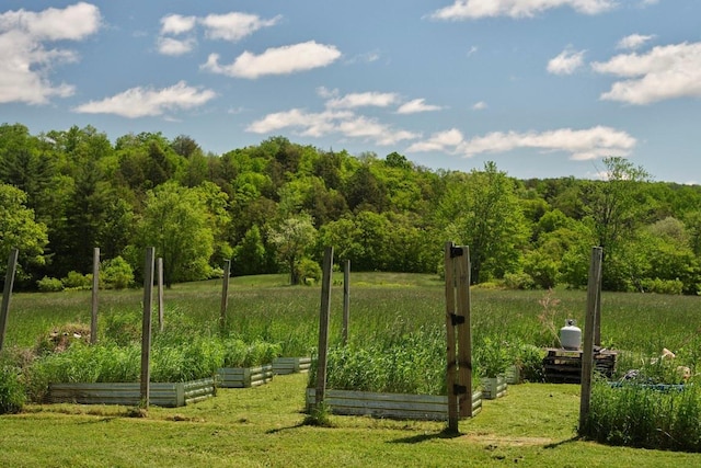649 County Road 95, North Branch, NY 12766 - view of community with a vegetable garden, a yard, and a view of trees