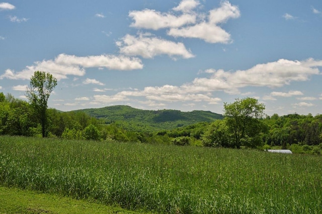 649 County Road 95, North Branch, NY 12766 - mountain view with a heavily wooded area