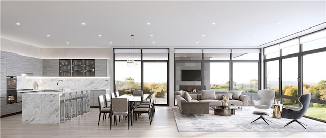 570 Bedford Rd Unit 6-1C, Armonk, NY 10504 - living room with light wood finished floors, a wall of windows, and plenty of natural light