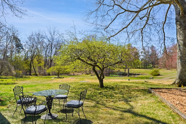 view of yard with outdoor dining space